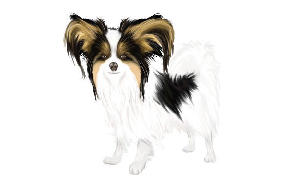A Realistic Papillon Dog Watercolor for Dog Crafts