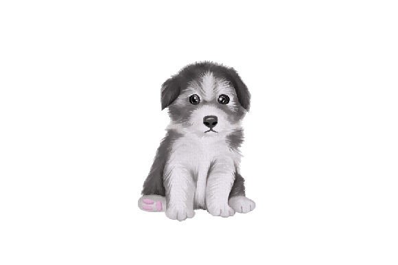 A Watercolor Border Collie Puppy for Craft and Dog Lovers