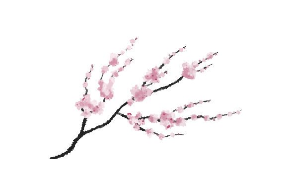 A Watercolor Cherry Blossom Asset for Spring Crafts & Branding