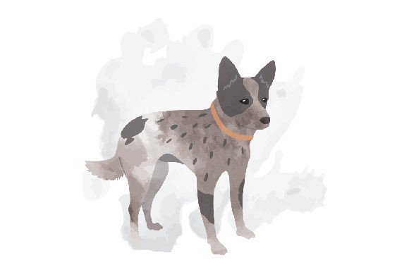 Crafting Editorial Content with a Blue Heeler, Watercolor Design