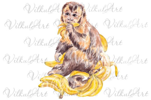 Cute Animal Png Monkey Watercolor: A Graphics Creator’s Review