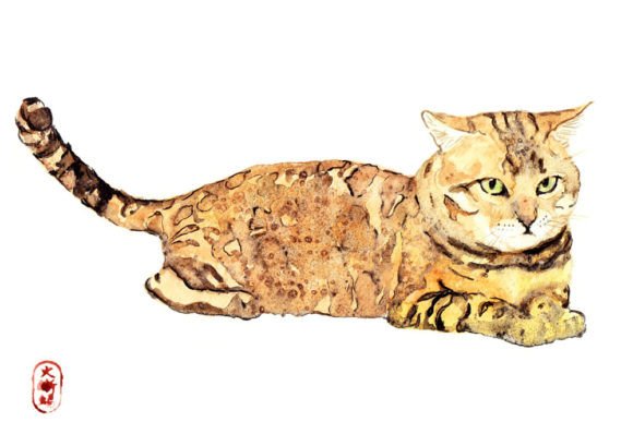 Japanese Watercolor Cat Illustration for Graphics and Illustrations