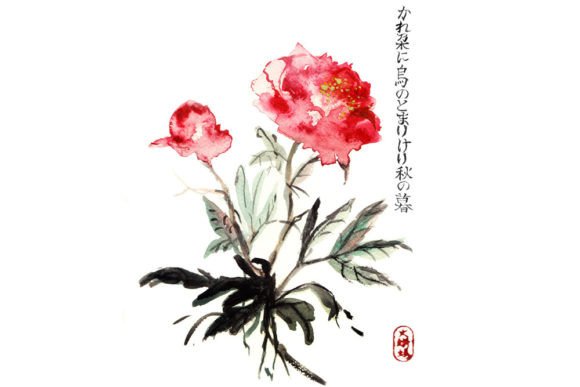 Japanese Watercolor Peonies Graphics: Elegant Illustrations