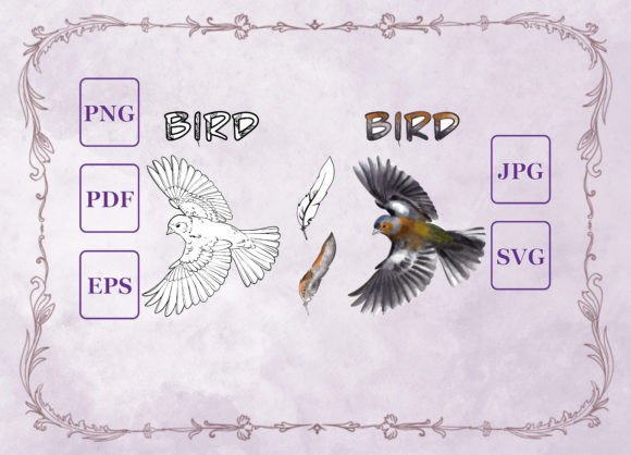 Using Watercolor Birds Graphics for Brand Storytelling